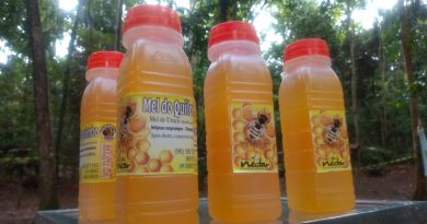 Mel de abelhas sem ferrão do cerrado Amapaense. Produzido de maneira artesanal em baixa escala por agricultores da Comunidade Quilobola do Mel da Pedreira.